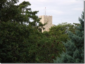DSCF0913