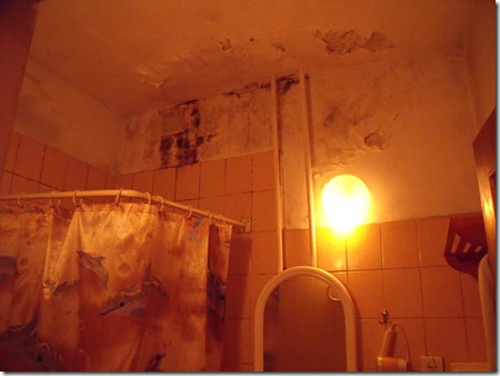 DSCF2191
