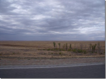 DSCF2436