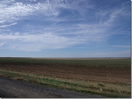 DSCF2547